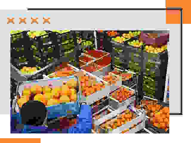 Перевозка скоропортящихся продуктов в Мысках